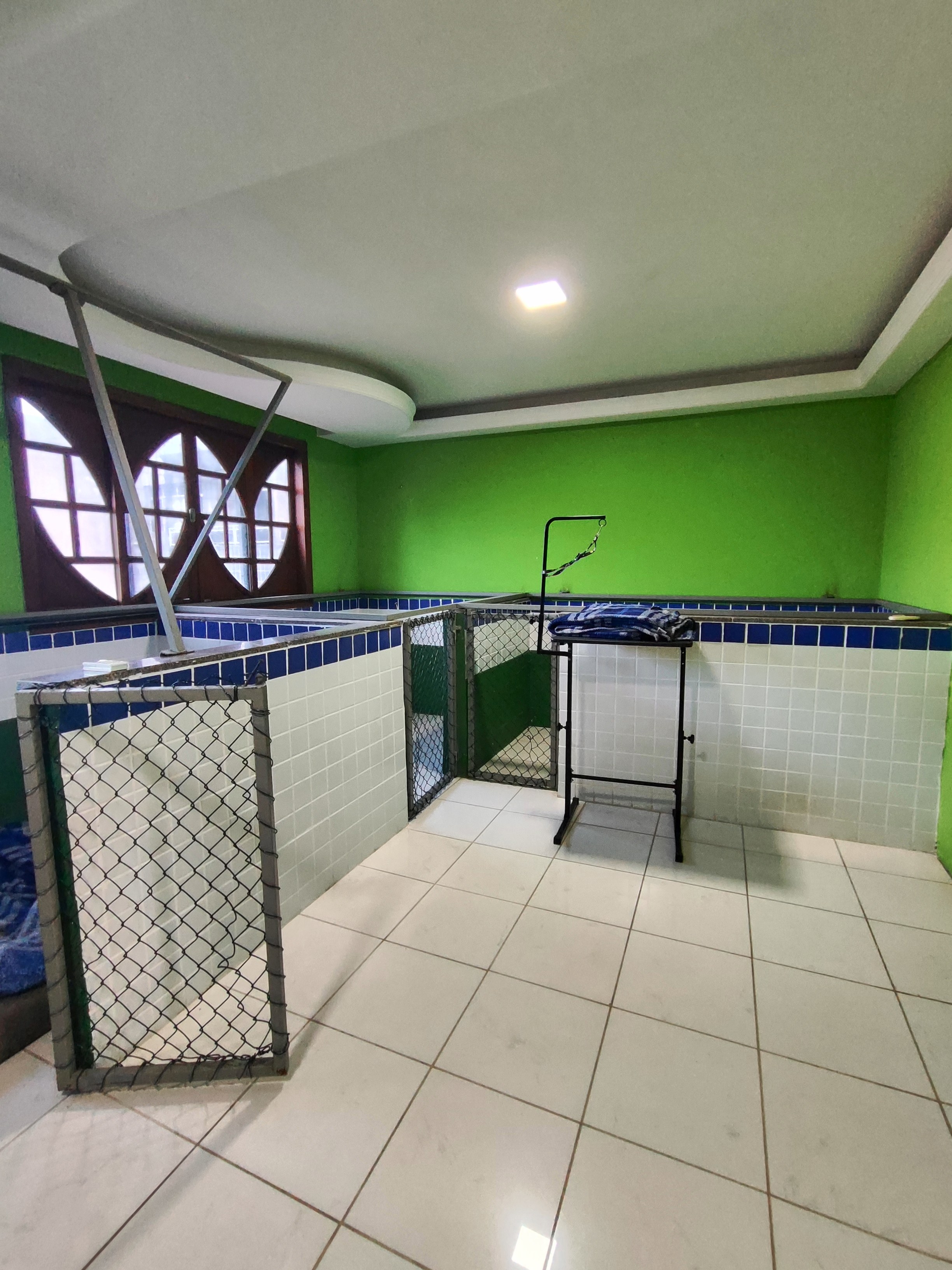 Adobe Express - file.jpg