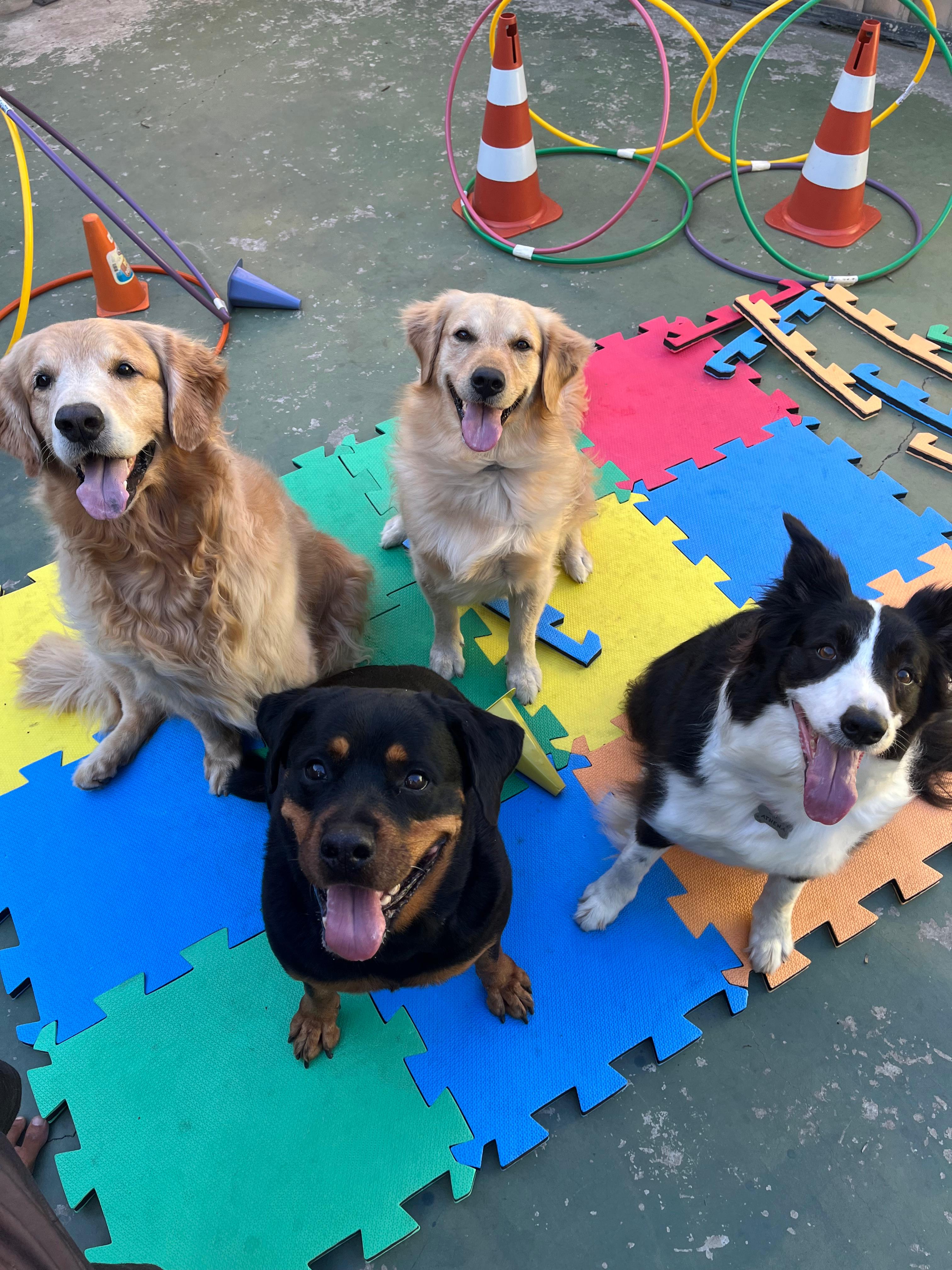 Imagem do WhatsApp de 2025-04-04 à(s) 17.15.01_ceea7043.jpg