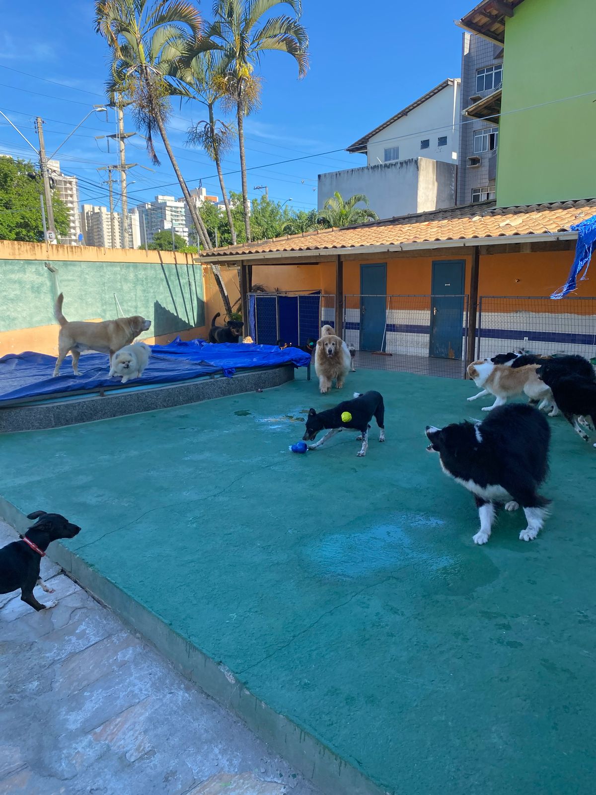 Imagem do WhatsApp de 2025-04-04 à(s) 15.16.54_ec8d3ed9.jpg