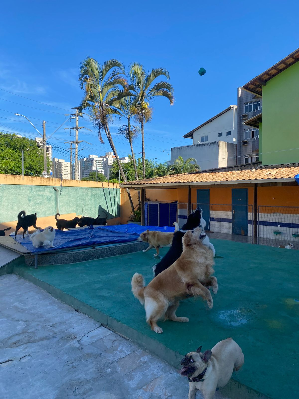 Imagem do WhatsApp de 2025-04-04 à(s) 15.16.55_8be86750.jpg