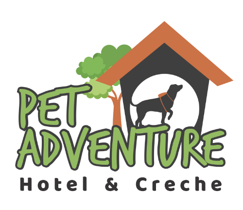 Logo Adventure PNG.png