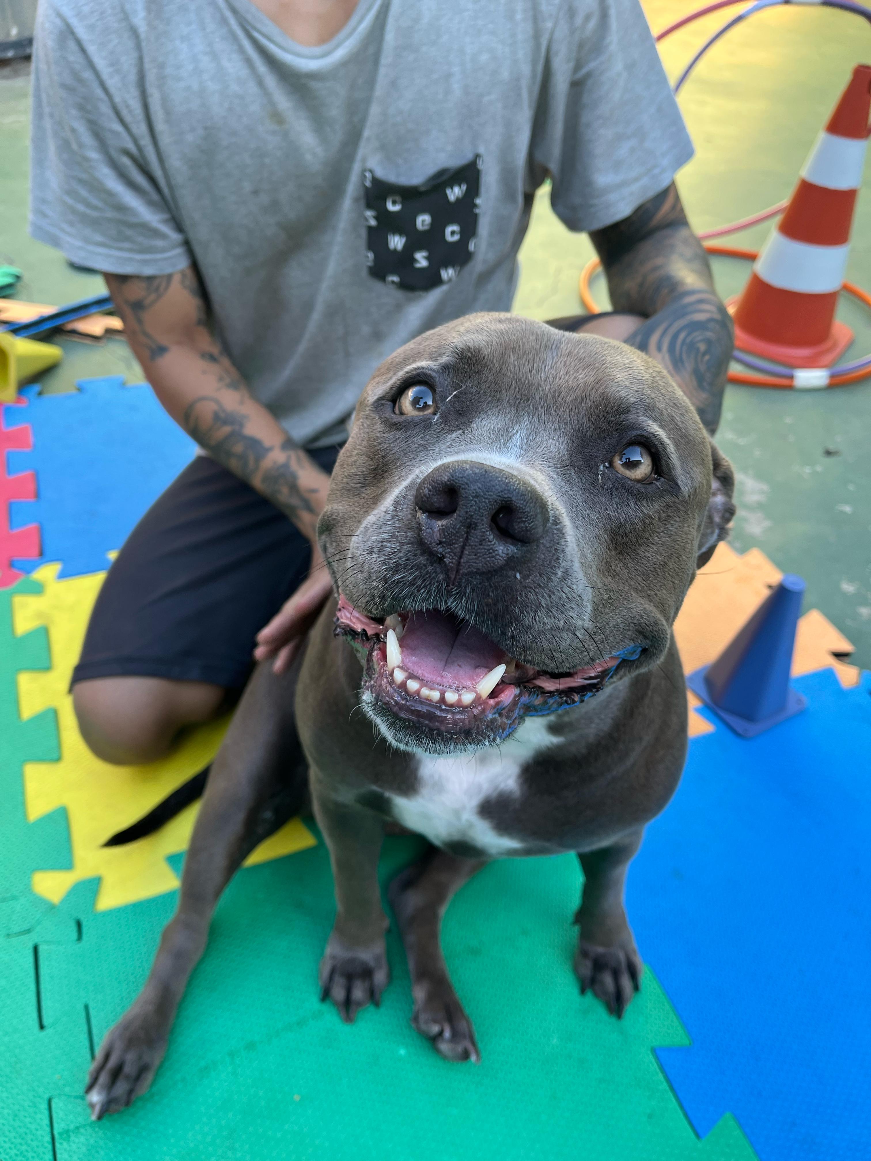 Imagem do WhatsApp de 2025-04-04 à(s) 17.15.01_3f37ae12.jpg