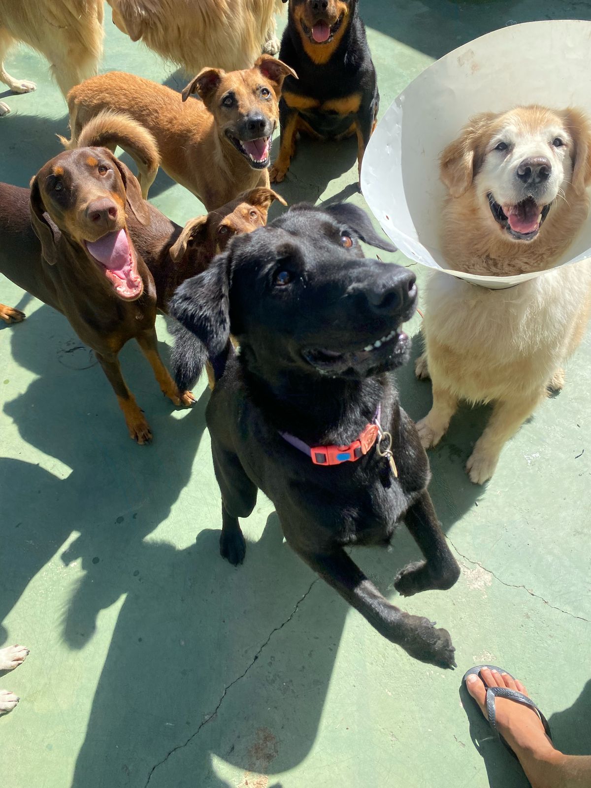 Imagem do WhatsApp de 2025-04-04 à(s) 17.15.01_5c7edbbd.jpg