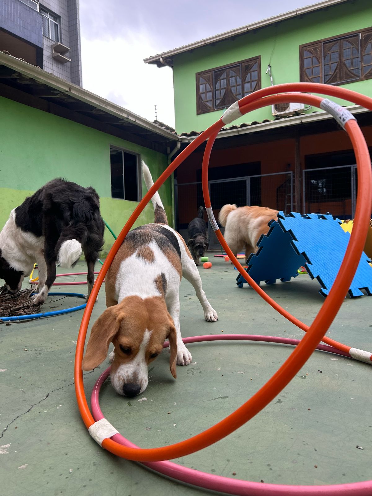 Imagem do WhatsApp de 2025-04-02 à(s) 09.14.41_3c3c5422.jpg